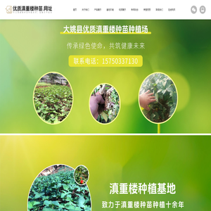 大姚县优质滇重楼种苗种植场（个体工商户）