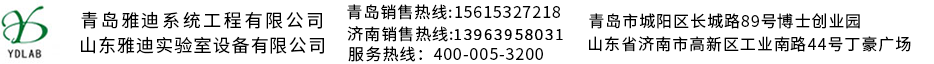 青岛雅迪系统工程有限公司