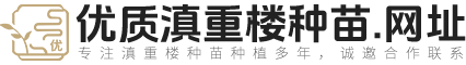 大姚县优质滇重楼种苗种植场（个体工商户）