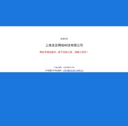 上海龙言网络科技有限公司