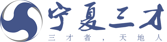 宁夏三才信息科技有限公司